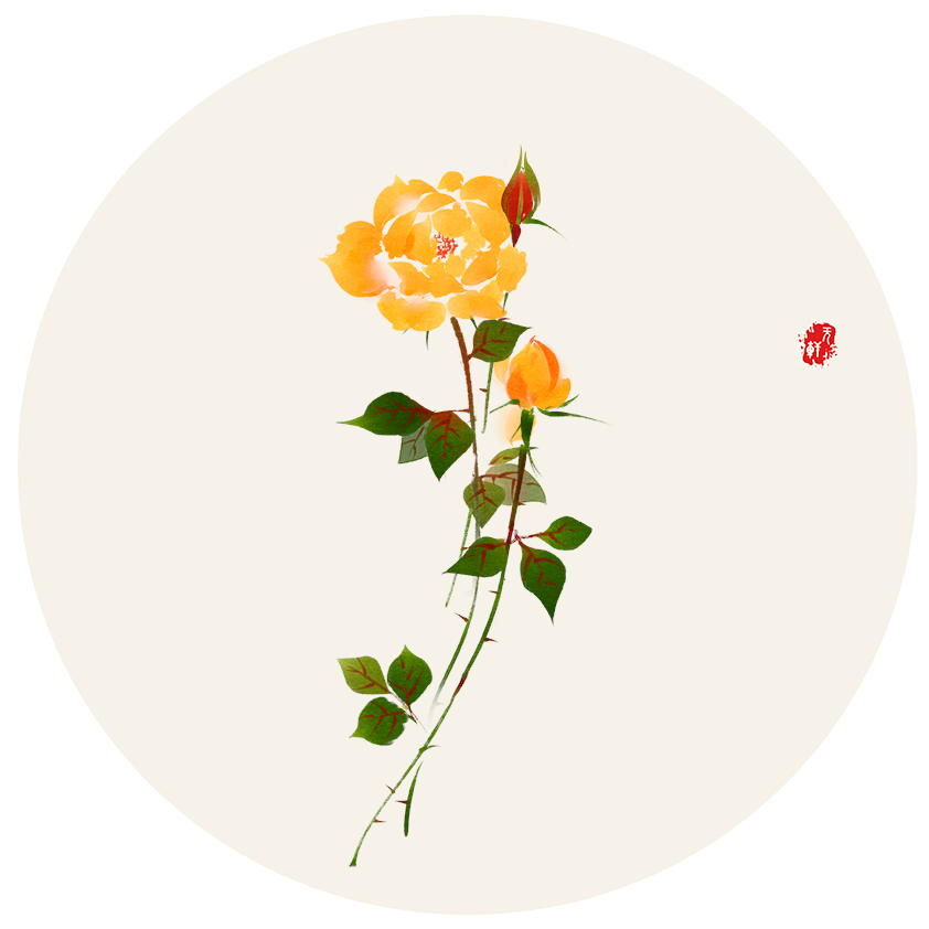 《黄玫瑰》